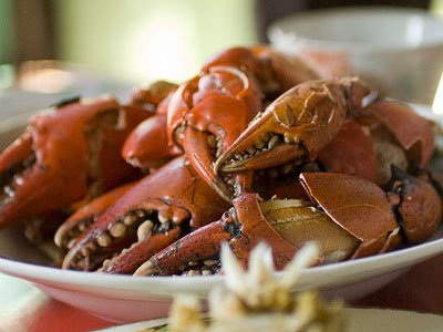 eating crabs with simple dip eating crabs with simple dip